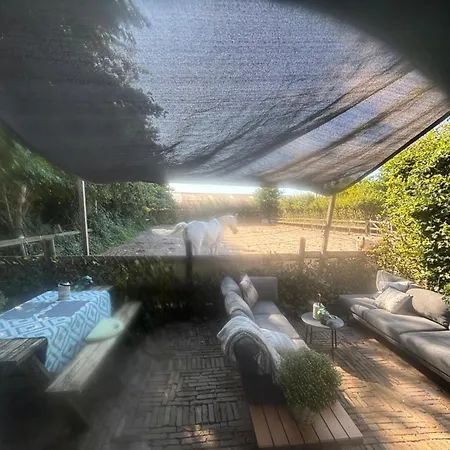 De Stranding Nieuw * إغموند آن دن هوف