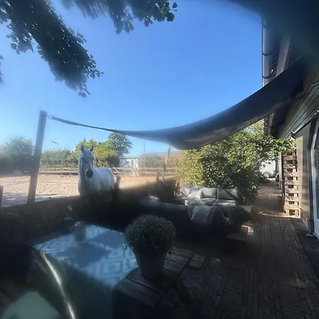De Stranding Nieuw *